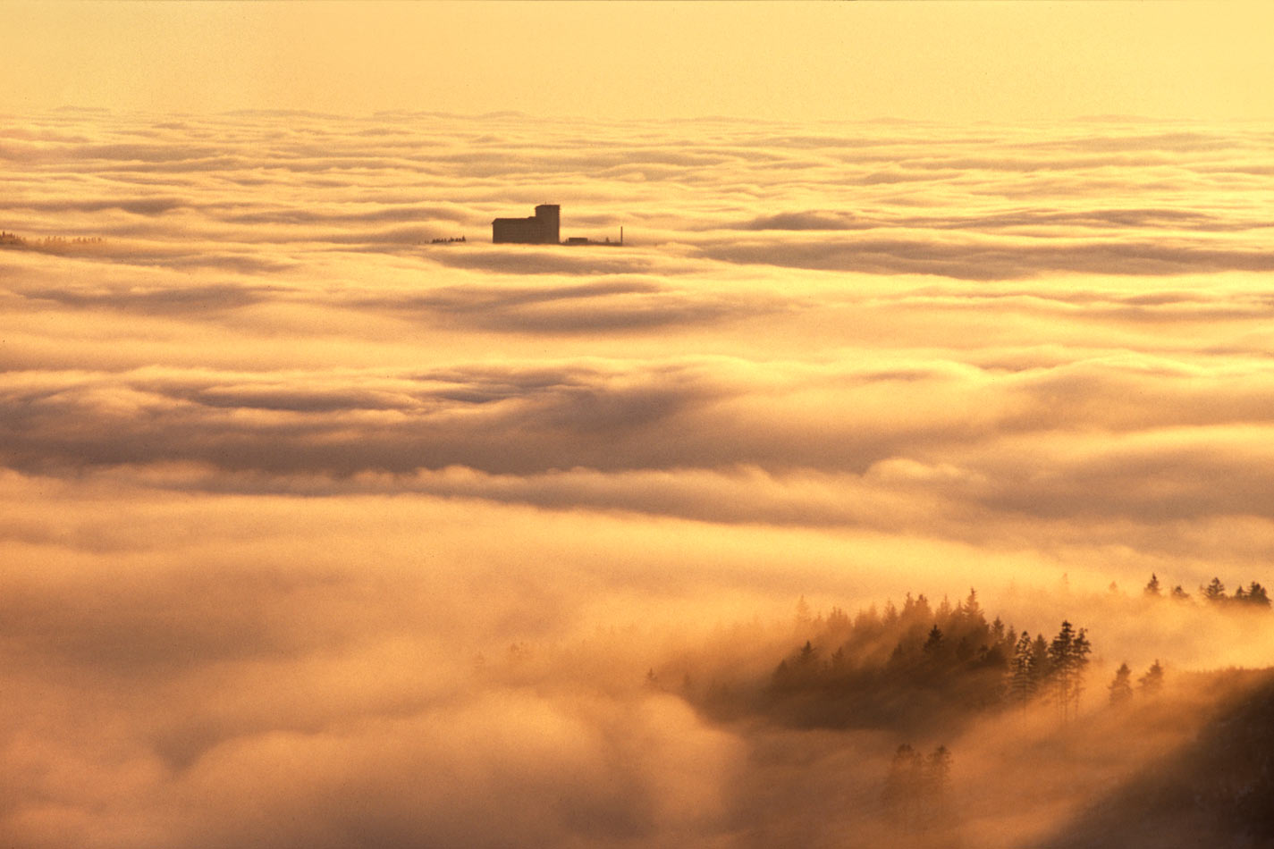 Blick zum Ringberg . Rosenkopfstraße bei Goldlauter . 1996 (Foto: Andreas Kuhrt)