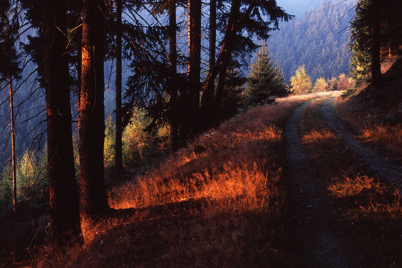 Aschental . bei Goldlauter . 2005 (Foto: Andreas Kuhrt)