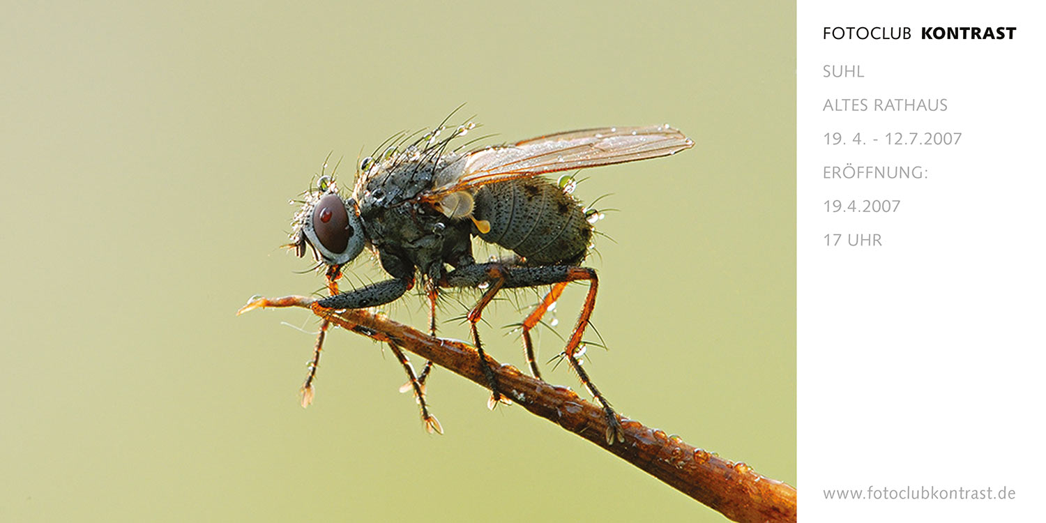 Fotos Michael Ritter (Flyer) . Fotoclub-Kontrast-Ausstellung 2007 . Altes Rathaus Suhl (Foto: Michael Ritter, Gestaltung: Andreas Kuhrt)