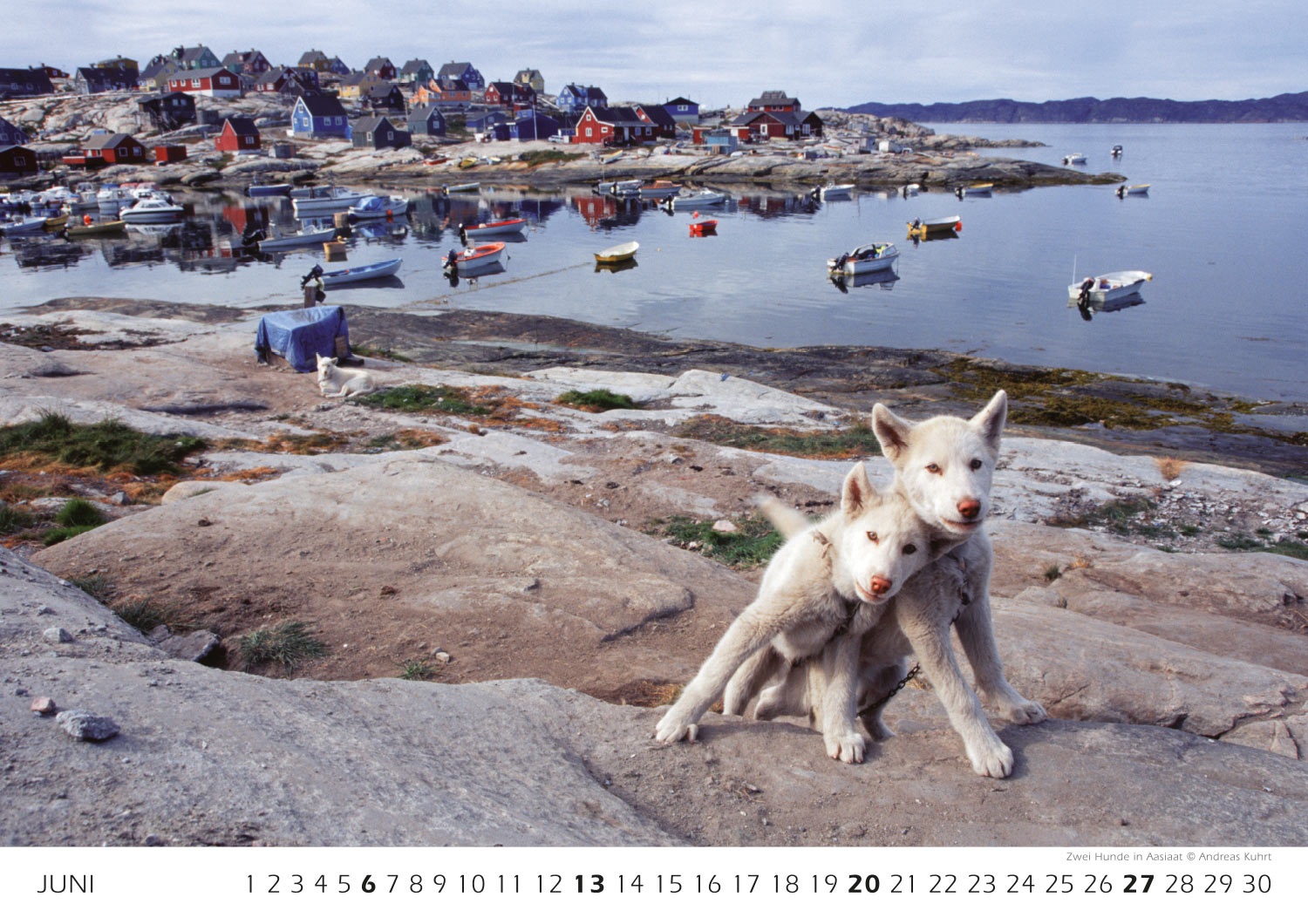 2009-Kalender-Groenland-2010-06 Zwei Hunde in Aasiaat (Foto: Andreas Kuhrt) . Fotokalender Grönland 2010 . Fotografie Andreas Kuhrt & Manuela Hahnebach (Gestaltung: Designakut 2009)