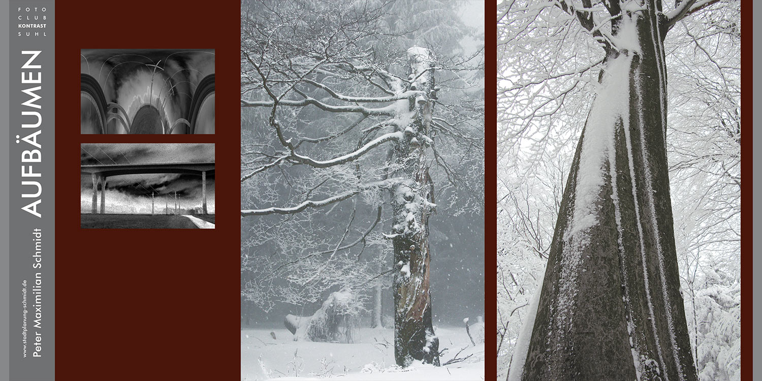 Foto Openair 2009 Kontrast: Aufbäumen (Fotos: Peter Maximilian Schmidt) . Fotoclub Kontrast Suhl . 2009