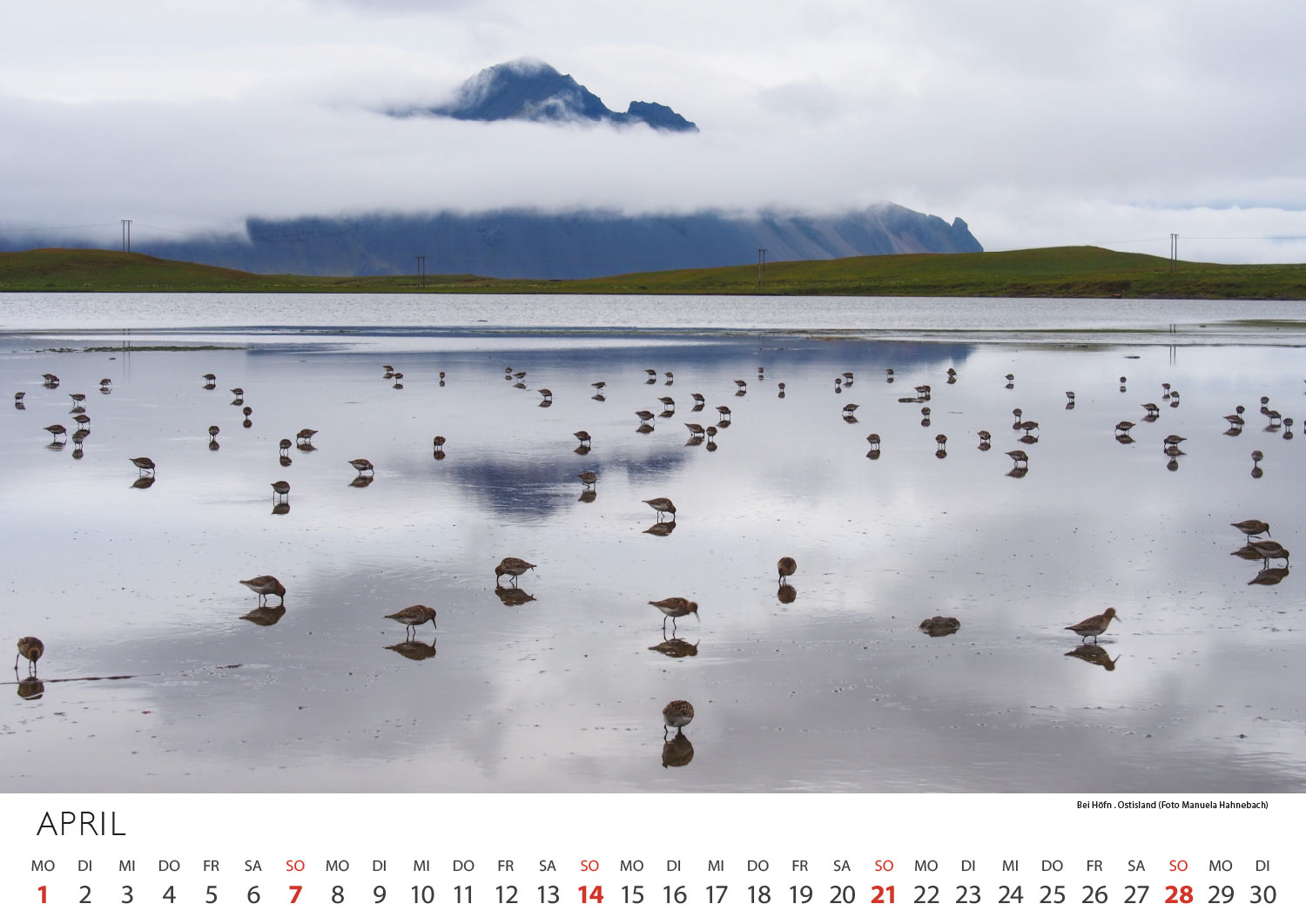 2012-Kalender-Island-2013-04 Bei Höfn in Ostisland (Foto: Manuela Hahnebach) . Fotokalender Island 2013 . Fotografie Manuela Hahnebach & Andreas Kuhrt (Gestaltung: Designakut 2012)