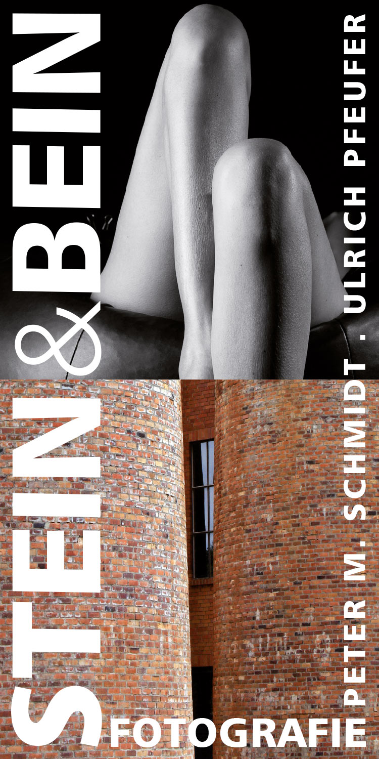 Fotoausstellung Stein & Bein (Flyer) . Musikschule Suhl . 2013 (Fotos: Uli Pfeufer, Peter Maximilian Schmidt, Gestaltung: Andreas Kuhrt)