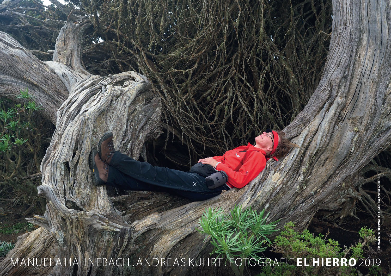 Kalender Fotografie El Hierro 2019: Im Wacholderwald El Sabina (Foto: Andreas Kuhrt 2018)