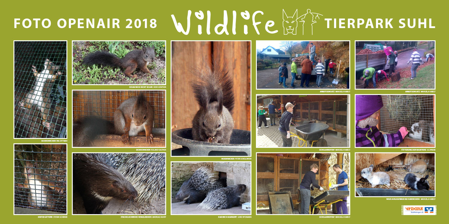 2018-wildlife-tierpark-suhl-openair-ausstellung-eichnoernchen-stachelschweine-kaninchen Eichhörnchen, Stachelschweine, Kaninchen . Foto Openair "Wildlife - Tierpark Suhl" 2018 (Fotos: Ina Dittmar, Heidi Günther, Manuela Habelt, Roland Kastner, Uli Knabe, Andreas Kuhrt, Gerd Ritzmann, Stefan Schenke)