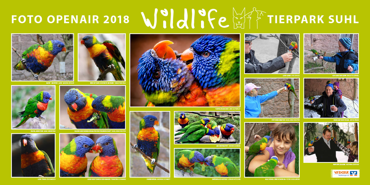 2018-wildlife-tierpark-suhl-openair-ausstellung-loris Loris . Foto Openair "Wildlife - Tierpark Suhl" 2018 (Fotos: Brigitte Günkel, Kathrin Günther, Jens Gutberlet, Jana Heinbürge, Antje Knabe, Sandra Köhler, Franziska Lehmann, Jürgen Nitschke, Karl-Heinz Richter, Stefan Schenke, Andreas Schmidt, Peter Sokolowski, Ute Zohles, Frank Zschemisch)