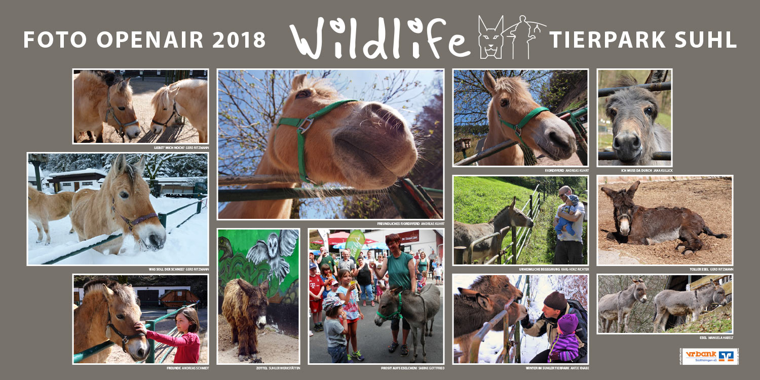 2018-wildlife-tierpark-suhl-openair-ausstellung-pferde-esel Pferde, Esel . Foto Openair "Wildlife - Tierpark Suhl" 2018 (Fotos: Sabine Gottfried, Manuela Habelt, Antje Knabe, Andreas Kuhrt, Jana Kullick, Karl-Heinz Richter, Gerd Ritzmann, Andreas Schmidt, Suhler Werkstätten)
