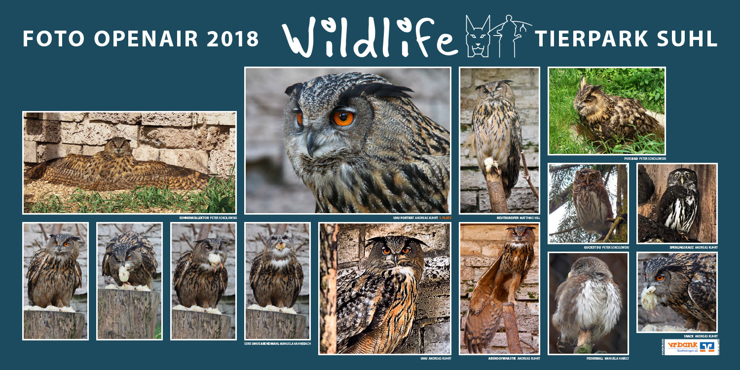 2018-wildlife-tierpark-suhl-openair-ausstellung-uhu-sperlingskauz Uhu, Sperlingskauz . Foto Openair "Wildlife - Tierpark Suhl" 2018 (Fotos: Manuela Habelt, Manuela Hahnebach, Matthias Hill, Andreas Kuhrt, Peter Sokolowski)