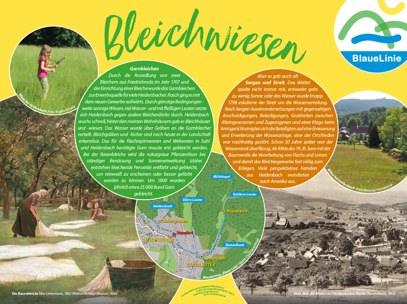 Infotafeln für Wanderweg BlaueLinie Goldlauter-Heidersbach: Bleichwiesen (Grafikdesign: design.akut.zone 2020/21)