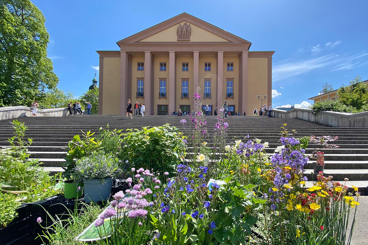 Eröffnung Haus der Geschichte Suhl 2022: Pflanzentage auf dem Platz der Deutschen Einheit (Foto: Andreas Kuhrt)