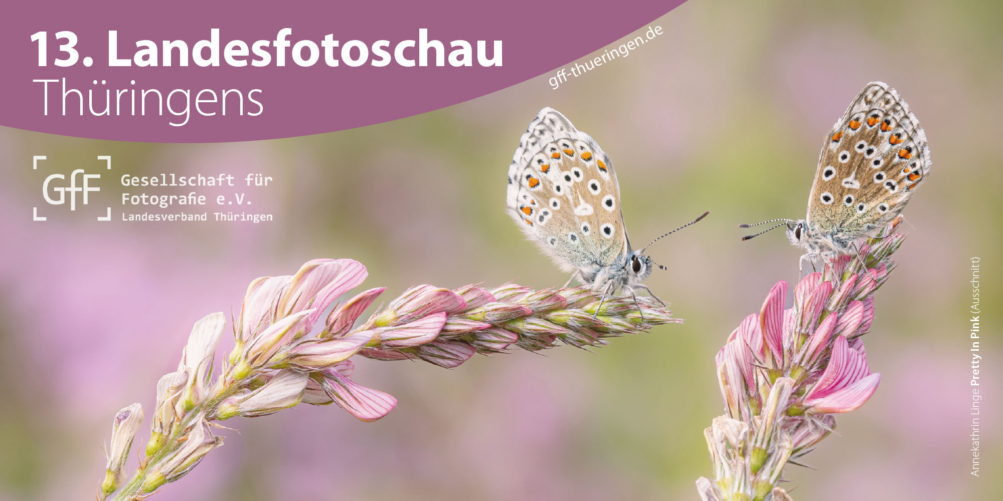 2023-landesfotoschau-thueringen-schlossmuseum-sondershausen-karte-1 Einladungskarte (vorn): 13. Landesfotoschau Thüringens 2023 im Schlossmuseum Sondershausen (Foto: Annekathrin Linge, Gestaltung: Designakut)
