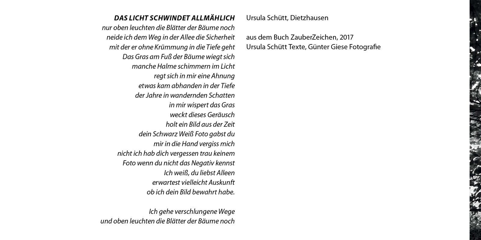 Trauerkarte des Fotoclubs Kontrast Suhl zum Tod von Günter Giese am 22.01.2025 (Text: Ursula Schütt, aus dem Buch ZauberZeichen, 2017)