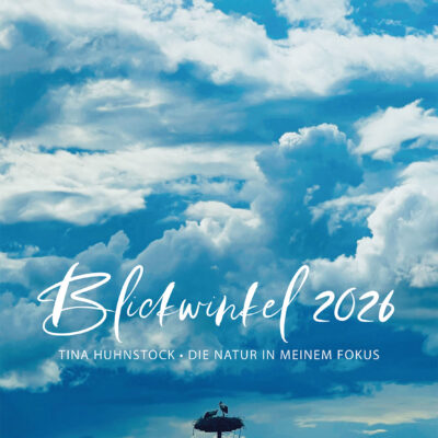Fotokalender Blickwinkel 2026: Tina Huhnstock - Die Natur in meinem Fokus (Storchennest, Foto: Tina Huhnstock)