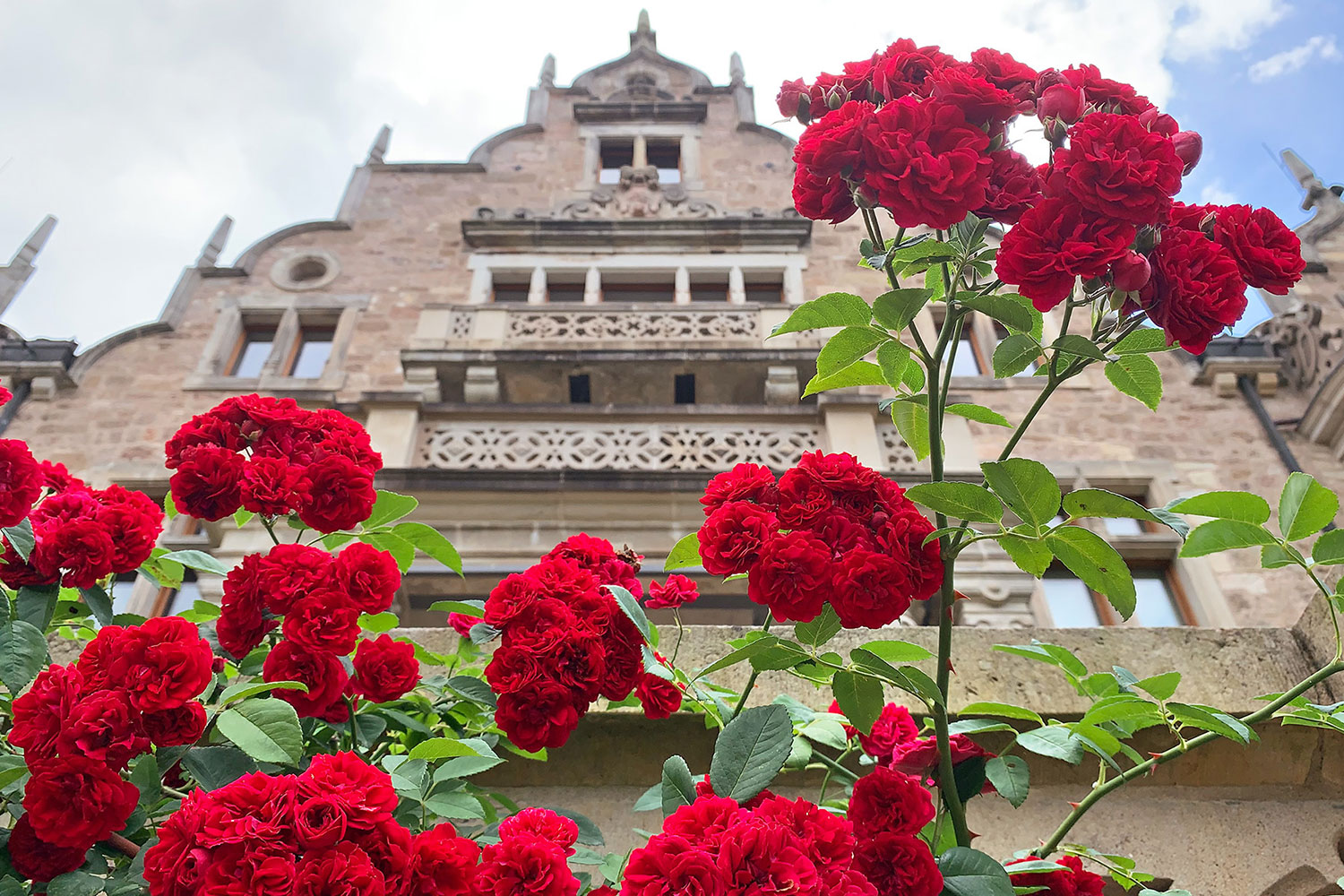 Altensteiner Schloss (Foto: Andreas Kuhrt 2021)