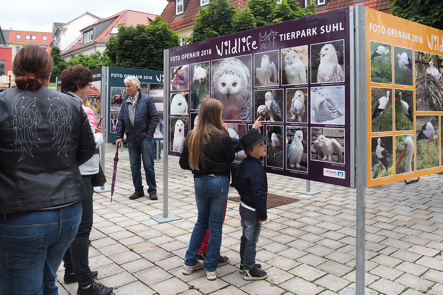 E0022436mh-2018-suhl-foto-openair-wildlife-tierpark-suhl-eroeffnung Ausstellungseröffnung . Foto Openair "Wildlife - Tierpark Suhl" 23.06.2018 (Foto: Manuela Hahnebach)