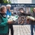 Ausstellungseröffnung: Preisträger: Klaus Wahl, Andreas Kuhrt, Jens Gutberlet . Foto Openair "Wildlife - Tierpark Suhl" 23.06.2018 (Foto: Manuela Hahnebach)