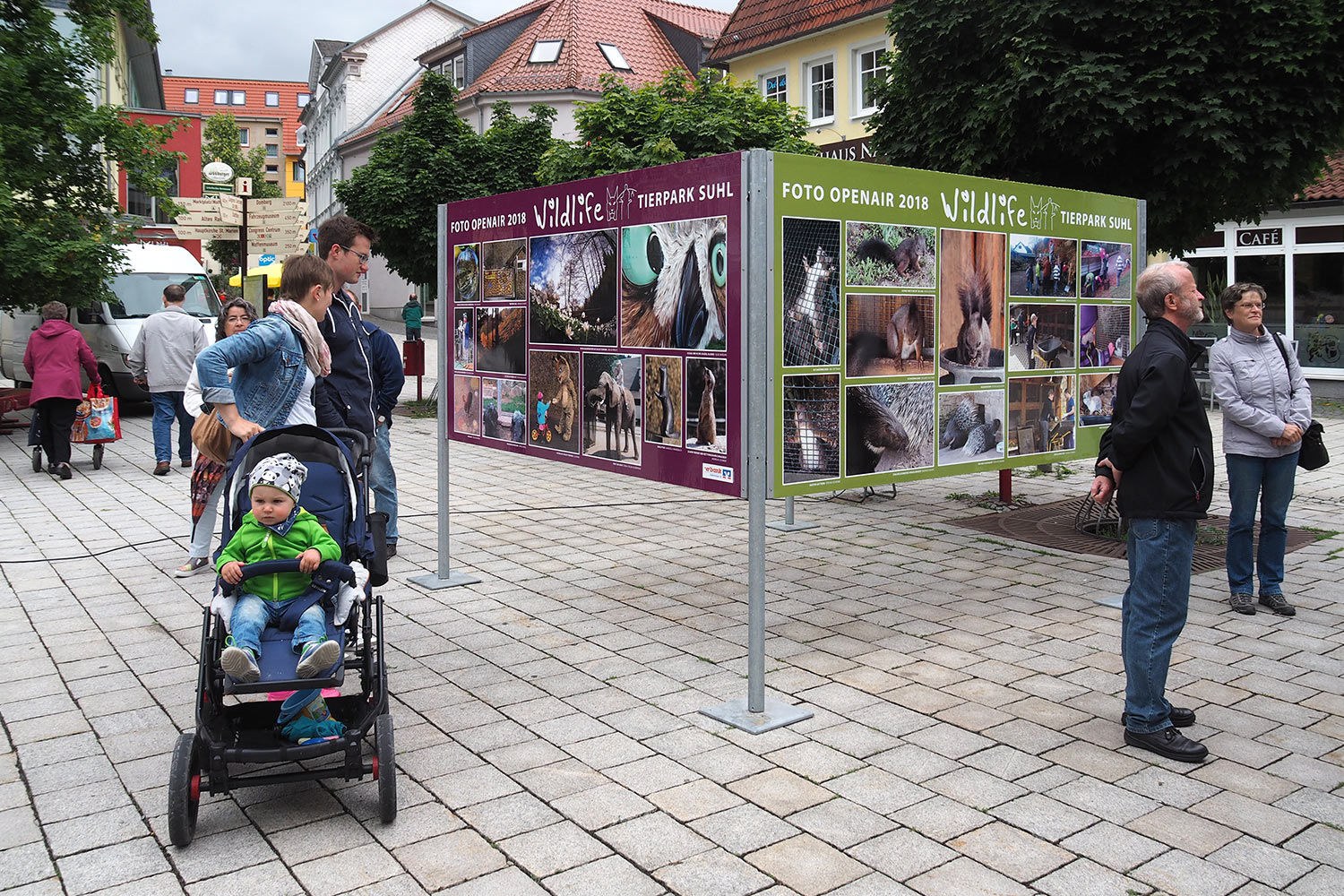 E0022452mh-2018-suhl-foto-openair-wildlife-tierpark-suhl-eroeffnung Ausstellungseröffnung . Foto Openair "Wildlife - Tierpark Suhl" 23.06.2018 (Foto: Manuela Hahnebach)