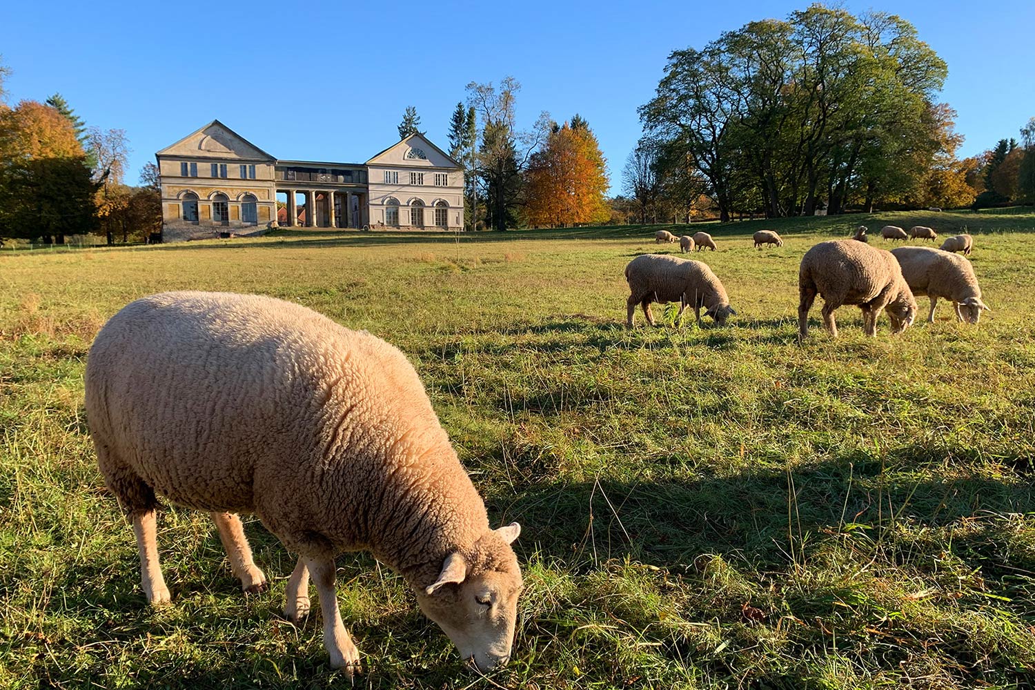 Schloss und Park Wilhelmsthal (Foto: Andreas Kuhrt 2021)
