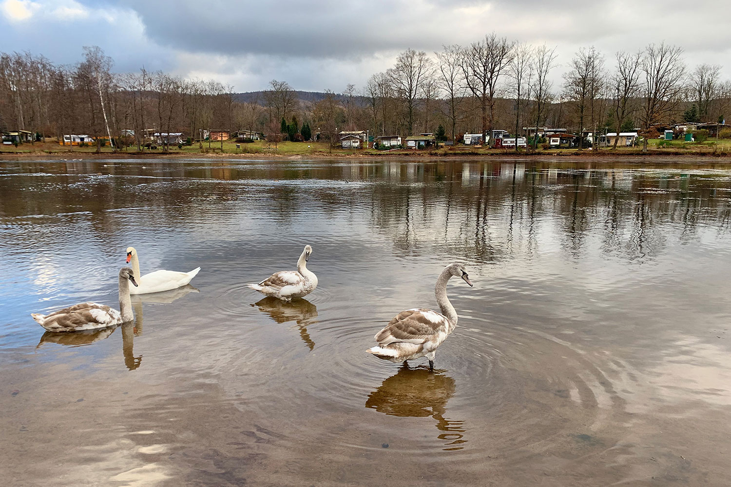 Altenberger See (Foto: Andreas Kuhrt 2021)